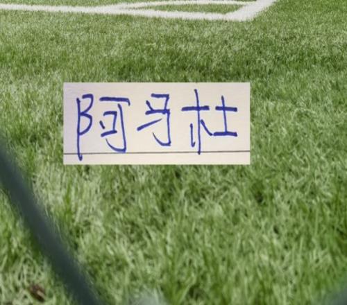 斯洛特关注,阿森纳对阵,富勒姆赛事,雪缘园足球即时比分,雪缘园比分,雪缘园体育比分网,比分直播