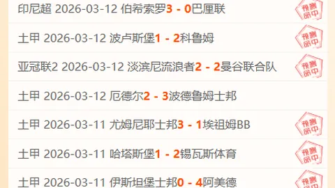 德米纳尔连胜十场，辛纳搭档闯入男单四强